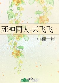 死神同人-云飞飞