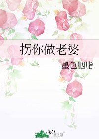《拐你做老婆》