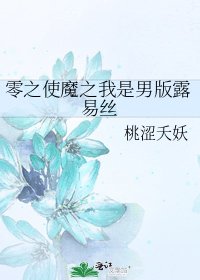 《零之使魔之我是男版露易丝》