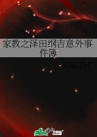 家教之泽田纲吉意外事件簿