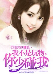 我不是玩物,你少碰我