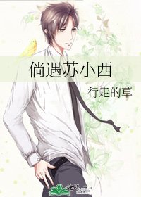 《倘遇苏小西》
