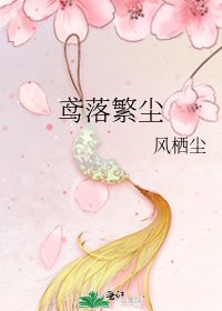 《鸢落繁尘》