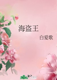 《海盗王》