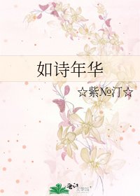 《如诗年华》