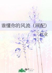 《谁懂你的风流(网配)》