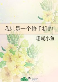 《我只是一个修手机的》