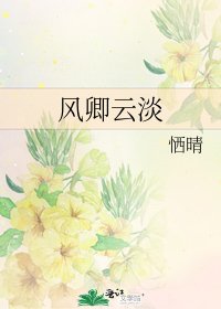 《风卿云淡》