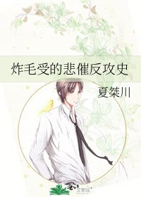 《炸毛受的悲催反攻史》