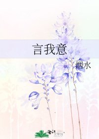 言我意