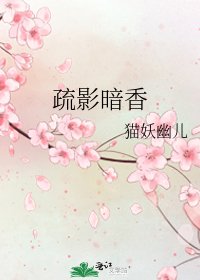 疏影暗香