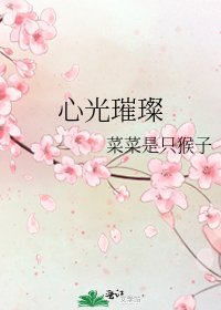 《心光璀璨》