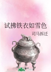《试拂铁衣如雪色》