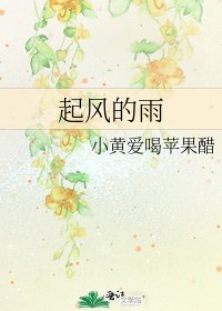 起风的雨