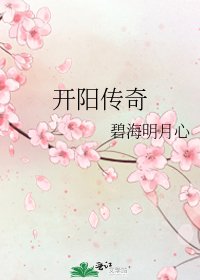《开阳传奇》