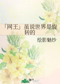 《「网王」虽说世界是旋转的》