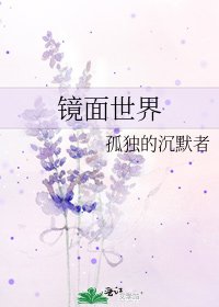 《镜面世界》