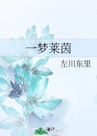 《一梦莱茵》