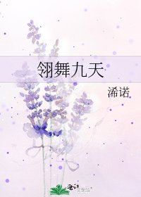 《翎舞九天》