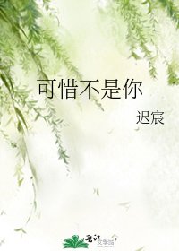 《可惜不是你》