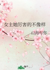 《女主她厉害的不像样》