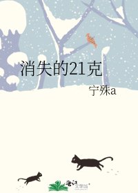 《消失的21克》