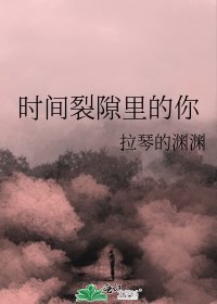 《时间裂隙里的你》