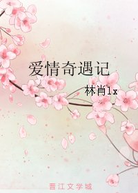 爱情奇遇记