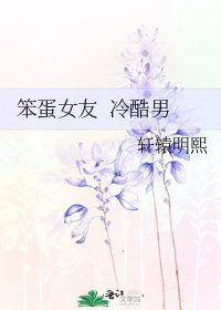 《笨蛋女友 冷酷男》