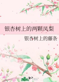 《銀杏樹上的兩顆鳳梨》