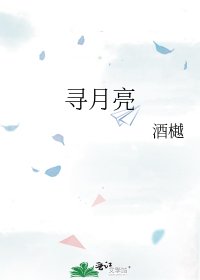 《寻月亮》