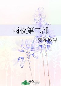 《雨夜第二部》
