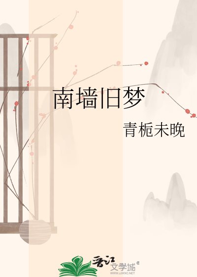 南墙旧梦