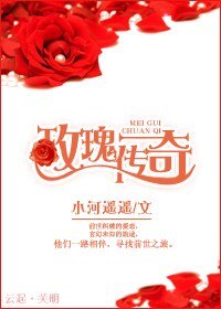 (BL/红楼同人)玫瑰传奇