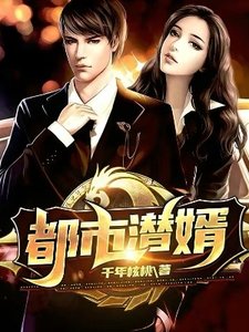 《都市潛婿》