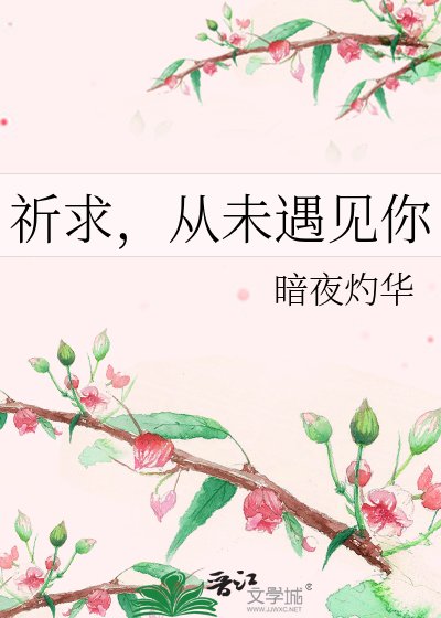 祈求，从未遇见你