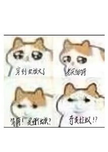 (猎人同人)穿成虫族文向导