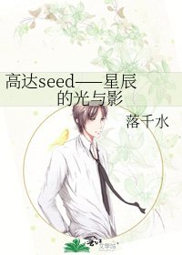 《高达seed——星辰的光与影》