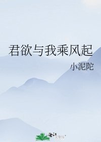 君欲与我乘风起
