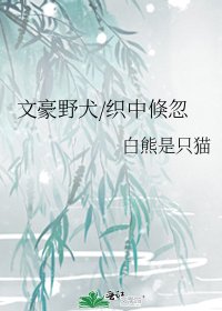 《文豪野犬/织中倏忽》