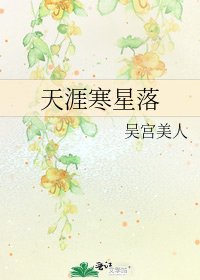 《天涯寒星落》