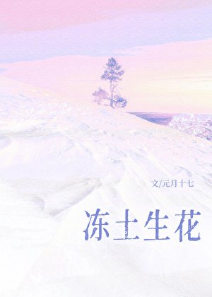 《冻土生花》