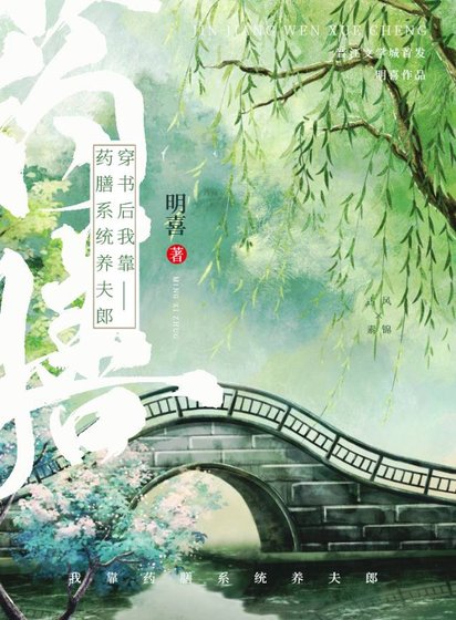 《穿书后我靠药膳系统养夫郎》