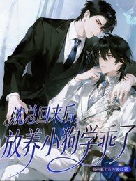 《沈总回来后,放养小狗学乖了》