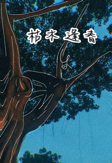 枯木逢春