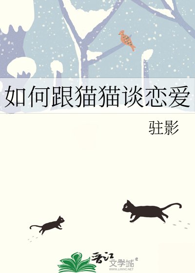 《如何跟猫猫谈恋爱》