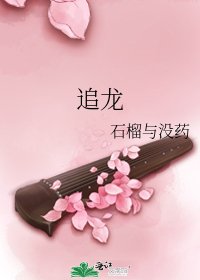 追龙