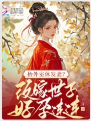抬外室休发妻？改嫁世子好孕连连