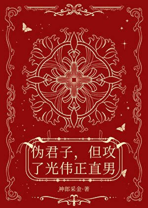 伪君子，但攻了光伟正直男