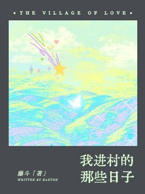 我进村的那些日子